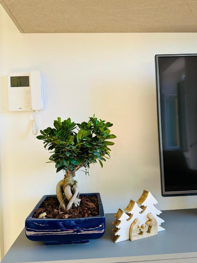 Alocasia Luxury Stay Salerno Zewnętrze zdjęcie